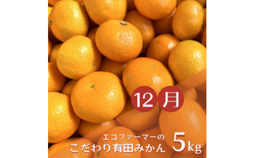 【3か月定期便】みかんの名産地和歌山発！秋のみかん定期便♪ゆら早生みかん・下津みかん・有田みかん【tkb362】