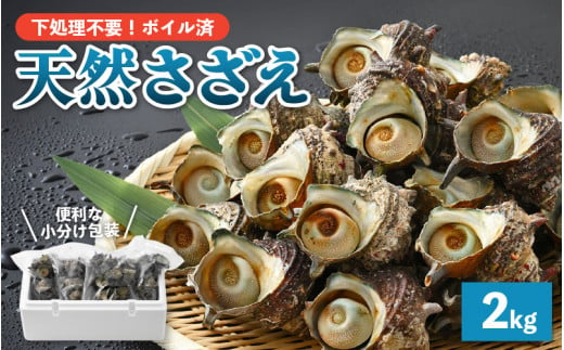 【先行予約】 天然 さざえ ボイル済 26～30個入 2kg（500g × 4袋）産地直送でお届け！ 【2025年6月10日～9月30日の期間に順次発送】 【越前町産 栄螺 サザエ 冷凍 小分け 海鮮 BBQ バーベキュー】 [e14-a011] 