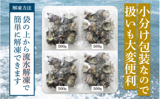 【先行予約】 天然 さざえ ボイル済 26～30個入 2kg（500g × 4袋）産地直送でお届け！ 【2025年6月10日～9月30日の期間に順次発送】 【越前町産 栄螺 サザエ 冷凍 小分け 海鮮 BBQ バーベキュー】 [e14-a011] 