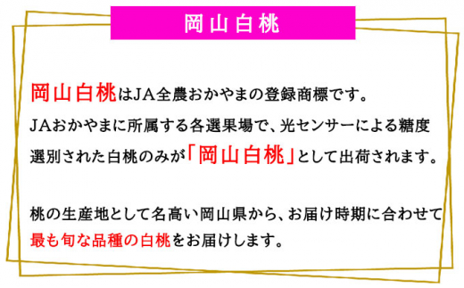 桃 2025年 先行予約 岡山 白桃 ロイヤル 4～8玉 1.2kg 岡山県産 JAおかやまのもも （早生種・中生種） もも モモ 岡山県産 国産 フルーツ 果物 ギフト