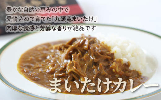 【先行予約】レンジでチン！水のまちのカレーライスセット【５食分】