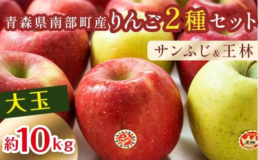 特選 (大玉)  青森産 完熟 りんご 約10kg サンふじ 王林 2種セット 【誠果園】 青森りんご リンゴ 林檎 アップル あおもり 青森 青森県 南部町 三戸 南部 澁川賞受賞 果物 くだもの フルーツ F21U-433