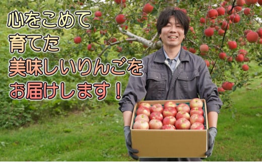 年内 蜜入り糖度保証 葉衣ふじ 約10kg 家庭用【12月・青森りんご・葉取らず・JA津軽みらい(板柳）】