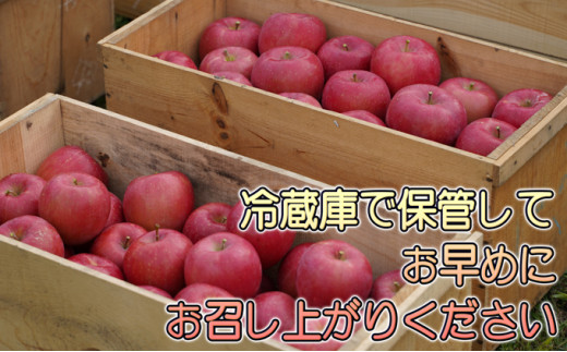 年内 蜜入り糖度保証 葉衣ふじ 約10kg 家庭用【12月・青森りんご・葉取らず・JA津軽みらい(板柳）】