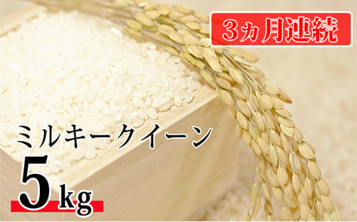 【新米】令和6年環境こだわり近江米ミルキークイーン5kg（無洗米）×3カ月連続お届け