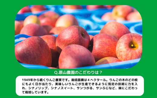 りんご サンふじ 家庭用 ( 小玉 ) 10kg 原山農園 沖縄県への配送不可 2025年1月上旬頃から2025年3月上旬頃まで順次発送予定 令和6年度収穫分 信州 果物 フルーツ リンゴ 林檎 長野 17000円 予約 農家直送 長野県 飯綱町 [0620]