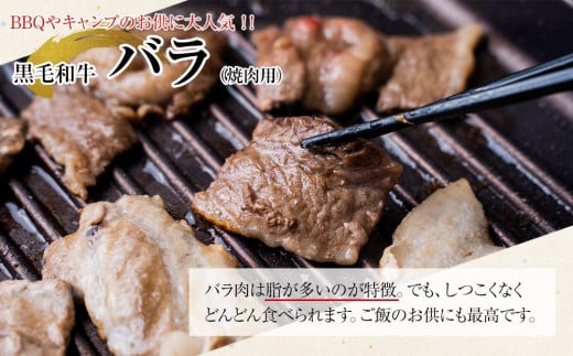 ＜A4ランク＞鹿児島県産黒毛和牛バラ焼肉用(500g)【牛肉 黒毛和牛 和牛 牛 肉 バラ 焼肉 焼き肉 やきにく おかず 冷凍 国産 九州産 鹿児島県産 人気 食品 お祝い ギフト おすすめ 鹿児島県 種子島 中種子町 ふるさと納税 送料無料 BH02】