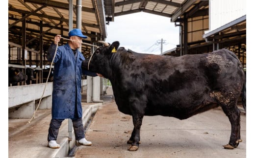 ＜A4ランク＞鹿児島県産黒毛和牛バラ焼肉用(500g)【牛肉 黒毛和牛 和牛 牛 肉 バラ 焼肉 焼き肉 やきにく おかず 冷凍 国産 九州産 鹿児島県産 人気 食品 お祝い ギフト おすすめ 鹿児島県 種子島 中種子町 ふるさと納税 送料無料 BH02】