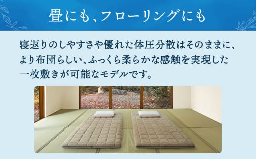 【大刀洗町限定】エアウィーヴ 四季布団 シングル × エアウィーヴ ピロー スリム“みな実のまくら” セット