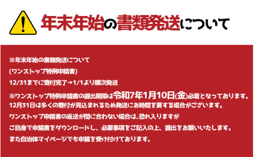 訳あり エビフライ10本セット1箱 冷凍 海老 えび 簡単 大きい 惣菜 お弁当 おかず おつまみ 揚げるだけ セット まるは食堂 愛知県 南知多町