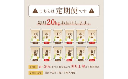 【定期便6回】有機栽培コシヒカリ白米 20kg 京都府産 低農薬 毎月お届け 6ヶ月【 米 20キロ 精米 白米 こめ コメ お米 おこめ こしひかり 井上吉夫 米農家 有機栽培米 有機栽培 農家直送 減農薬 綾部市 京都府 】