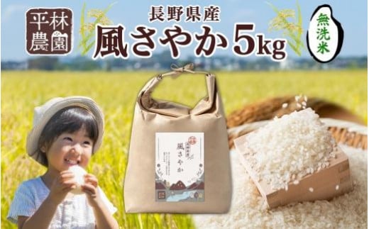 令和6年産 風さやか 無洗米 5kg×1袋 長野県産 米 白米 精米 お米 ごはん ライス 甘み 農家直送 産直 信州 人気 ギフト 時短 お取り寄せ 平林農園 送料無料 長野県 大町市