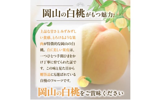 【2025年発送分 先行受付スタート！】岡山県産 白桃とニューピオーネのセット（令和７年7月以降発送）