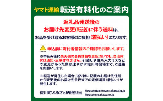 （全３回）佐川町産フルーツ 定期便R5　 いちご 文旦 梨　＜2025年イチゴまたは文旦から発送＞