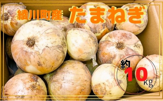 [№5911-0250]新鮮採れたて綾川町産 たまねぎサイズ混合約10kg※2024年5月上旬より順次発送