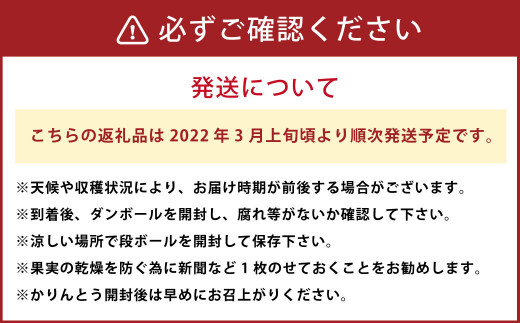 【2022年3月上旬発送】甘夏みかん 約10kg＆甘夏かりんとう 100g 果物 菓子