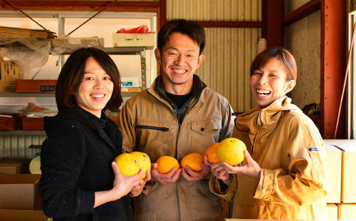 【2022年3月上旬発送】甘夏みかん 約10kg＆甘夏かりんとう 100g 果物 菓子