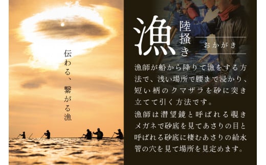 北海道 道東産  (活) アサリ中 3kg（北海道 あさり アサリ ふるさとチョイス ふるさと納税 仕組み キャンペーン 限度額 計算 ランキング やり方 シミュレーション チョイス チョイスマイル ）