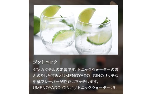 UMENOYADO GIN 750ml ／ 梅乃宿酒造 44度 ジン クラフトジン ジャパニーズジン お酒 スピリッツ 国産 ギフト お祝い プレゼント 奈良県 葛城市