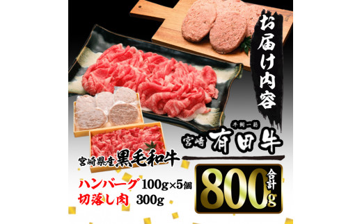 宮崎黒毛和牛ハンバーグと切落しの2種セット(ハンバーグ100g×5個・切落し300g)国産 宮崎県産 黒毛和牛 ハンバーグ 小分け【AR002】【(有)有田牧畜産業 食肉加工センター】