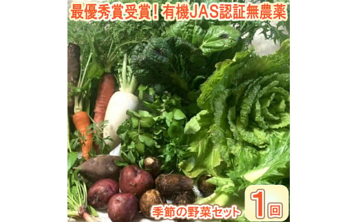 【最優秀賞受賞！甘味＆栄養】有機JAS認証の無農薬、チヨちゃんの野菜１回のみ[952]