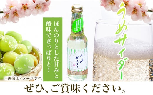 うめサイダー 24本 各250ml 彩食品グループ 《30日以内に出荷予定(土日祝除く)》 徳島県 上勝町 送料無料 梅 うめ サイダー 飲み物 ジュース