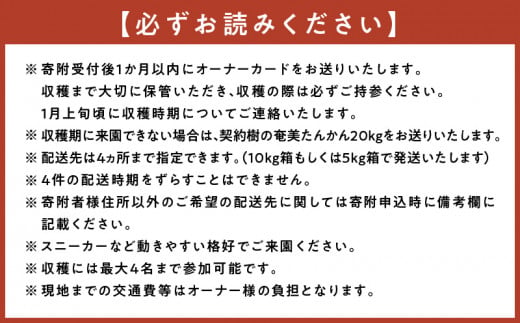 【チョイス限定3名様】奄美たんかんの木 まるごと1本オーナー権～元井農園～（最低20kg保証）