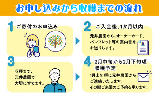 【チョイス限定3名様】奄美たんかんの木 まるごと1本オーナー権～元井農園～（最低20kg保証）