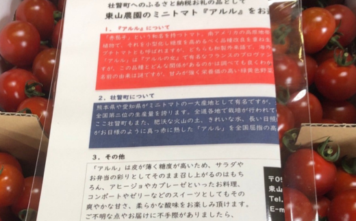 ＜2024年7月上旬よりお届け＞北海道壮瞥町産ミニトマト（アルル）約3kg【 ふるさと納税 人気 おすすめ ランキング ミニトマト トマト とまと フルーツトマト 野菜 高糖度 甘い 3kg 北海道 壮瞥町 送料無料 】 SBTS003