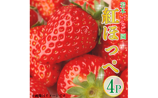 いちご 紅ほっぺ 約270g×4パック 1kg以上 果物 フルーツ 土耕栽培 甘い 徳島県 阿波市 岩本いちご園