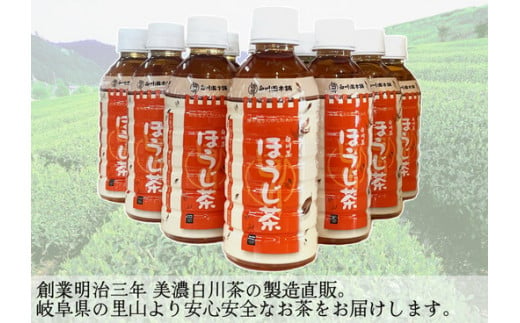 ※白川茶 ほうじ茶ペットボトル330ml