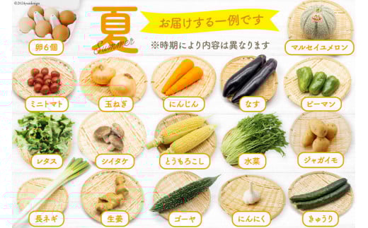 BA025 野菜・フルーツ・卵 旬のおまかせセット （野菜・フルーツ13～16