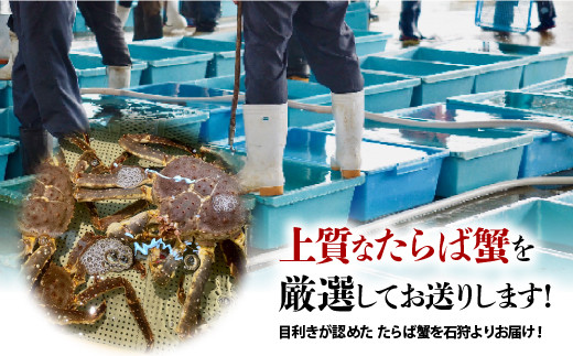 130074001 特大 ボイルたらば蟹脚 5Lサイズ(冷凍総重量1.0kg×1肩)｜ふるさと納税 石狩市 タラバガニ たらばがに 蟹 カニ かに 蟹足 カニ脚 大きい かに足