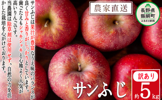 りんご サンふじ 訳あり 5kg 松澤農園 沖縄県への配送不可 2024年11月下旬頃から2025年2月上旬頃まで順次発送予定 令和6年度収穫分 長野県 飯綱町 [1286]