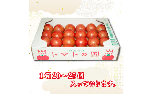 【2カ月定期便】トマト 大玉 3kg 大玉トマト サラダ トマトの国 徳島県 阿波市