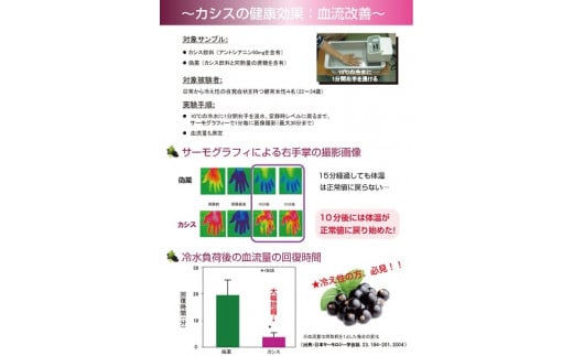 BMPカシスパウダー１kg