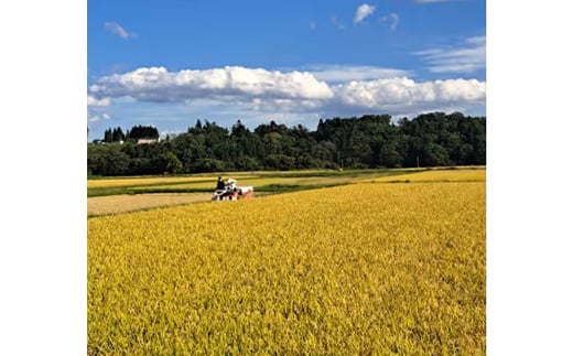 ＜令和6年産＞はれわたり　精米 20kg(5kg×4)【1455910】