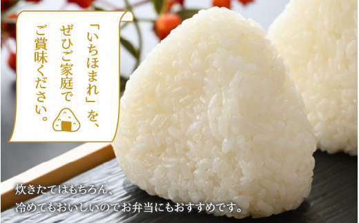 【6ヶ月連続定期便】令和6年産 福井県の新しいブランド米 いちほまれ5kg ×1袋（5kg × 6ヶ月） [H-015001]