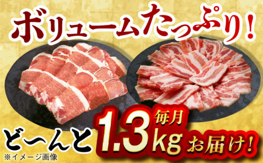 【月1回約1.3kg×12回定期便】大西海SPF豚 背ロース＆バラ（焼肉用）計15.6kg 長崎県/長崎県農協直販 [42ZZAA107] 肉 豚 ぶた ブタ ロース バラ 豚バラ 焼肉 焼き肉 食べ比べ 西海市 長崎 九州 定期便