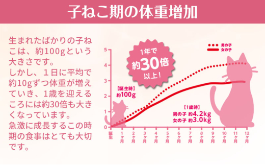 【定期便3回】銀のスプーン三ツ星グルメ 香るお魚仕立て健康に育つ子ねこ用 お魚レシピ 240g×7箱 3ヶ月連続お届け ペットフード キャットフード 猫のごはん 猫用フード 猫 ペット [№5275-0653]