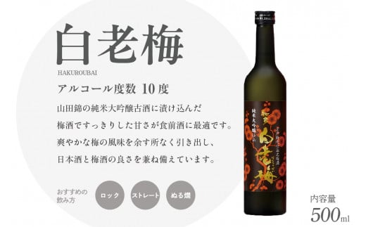 知多の梅酒「白老梅」純米大吟醸　2本セット ／ お酒 リキュール 佐布里梅 愛知県 特産品