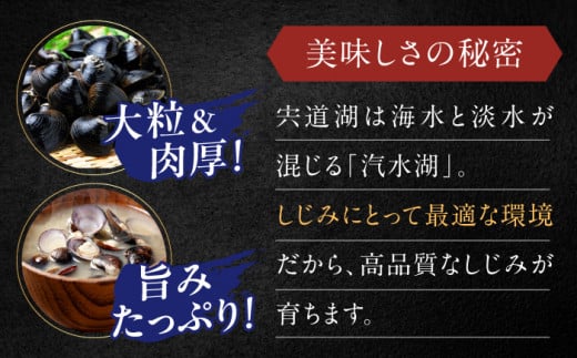宍道湖産 冷凍大和しじみ 砂抜き済 Lサイズ800×2袋(1.6kg) 島根県松江市/しじみ市場株式会社 [ALDK005]