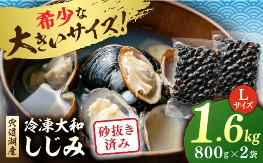 宍道湖産 冷凍大和しじみ 砂抜き済 Lサイズ800×2袋(1.6kg) 島根県松江市/しじみ市場株式会社 [ALDK005]