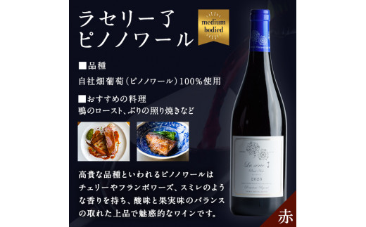 自社葡萄を使用した赤ワイン ピノノワール 750ml×1本 ラセリー了 ミディアムボディ ぶどう ブドウ アルコール ギフト 宮城県産 みらいファームやまと 【了美ワイナリー】ta467