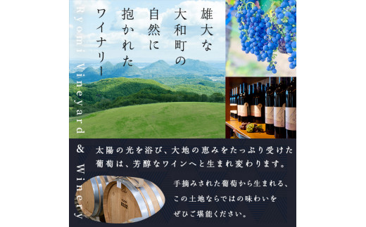 自社葡萄を使用した赤ワイン ピノノワール 750ml×1本 ラセリー了 ミディアムボディ ぶどう ブドウ アルコール ギフト 宮城県産 みらいファームやまと 【了美ワイナリー】ta467