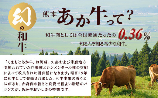 【定期便12回】熊本あか牛 切り落とし 500Kg×12回配送