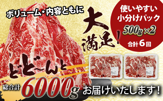 【定期便6回】熊本あか牛 切り落とし 計6Kg (500g×2)×6回  国産 牛肉 冷凍 熊本 熊本県産 あか牛 赤牛 切り落とし 041-0138