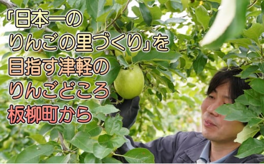 年内 最高等級 「特選」サンふじ＆王林 約3kg 糖度保証13度以上・キャップ 【12月・青森りんご・JA津軽みらい(板柳）】