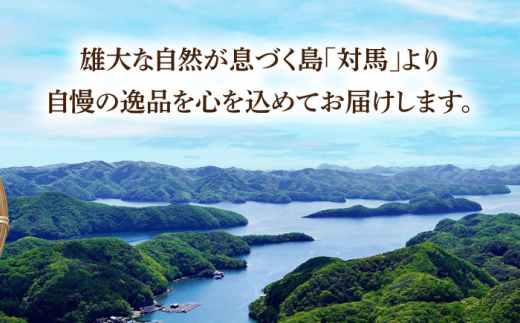 【全3回定期便】幻の魚 クエ 鍋 セット 400g 《対馬市》【海風商事】九州 長崎 対馬 ちり鍋 アラ [WAD035]くえ 高級魚 魚 クエ 希少 人気 ランキング 冷凍 対馬 長崎 九州 つしま 対馬市 海鮮 魚介 刺身 刺し身 鍋 クエ鍋 毎月届く 定期便