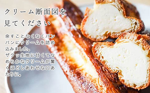 AB-369 プレーン2本+お任せ9本：【11本セット】 新食感!?シュークリーム シュッシュ 5種食べ比べ シューアイス お試し 抹茶ミルクいちごチョコキャラメルナッツコーティング お中元 スイーツギフト お取り寄せ 冷たい 夏 インスタ映え お菓子 贈り物 個包装 送料無料 お見舞い すぐ 届く